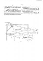 Машина для выделения семян из плодов бахчевых культур (патент 579978)