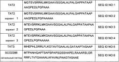 Сигнальные пептиды тат для продукции белков в прокариотах (патент 2487937)