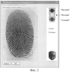 Способ классификации рисунков отпечатка пальца при аутентификации личности (патент 2473125)