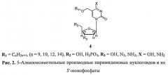 Новые 5-модифицированные пиримидиновые нуклеозиды - ингибиторы роста mycobacterium tuberculosis (патент 2517173)