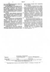 Грунтующий раствор (патент 1836747)