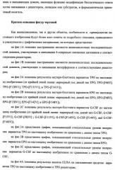 Вариант еро, обладающий повышенным сродством связывания с рецептором и сниженным антигенным потенциалом, днк, кодирующая такой вариант еро, рекомбинантный экспрессионный вектор, содержащий такую днк, клетка-хозяин, трансформированная или трансфектированная таким вектором, способ получения такого варианта еро и фармацевтическая композиция, содержащая такой вариант еро (патент 2432360)