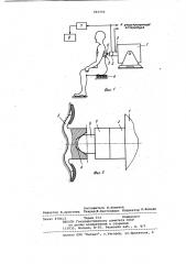 Стенд для исследования динамических характеристик тела человека (патент 955904)