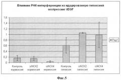 Способ повышения ангиогенного потенциала мезенхимальных стволовых клеток жировой ткани (патент 2443778)