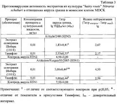 Противовирусное средство на основе экстракта культуры 