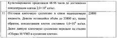 Способ производства препарата на основе нереплицирующегося вирусного вектора, экспрессирующего ген человеческого toll-подобного рецептора и ген модифицированного белка флагеллина (патент 2590588)
