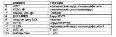 Система индикации на основе полноразмерного антитела для эукариотических клеток и ее применение (патент 2625033)