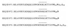 Модифицированные пептиды вич-1 и их применение для обнаружения антител против вич (патент 2352579)