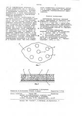 Капиллярная структура тепловой трубы (патент 985701)
