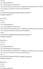 Аптамер, специфичный к опухолевым тканям легкого человека (патент 2528870)