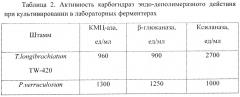 Штамм мицелиального гриба trichoderma longibrachiatum tw-14-220 - продуцент целлюлаз, бета - глюканаз и ксиланаз для кормопроизводства и способ получения кормового комплексного ферментного препарата (патент 2654564)