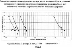 Способ предварительного прогнозирования лежкости плодов и ягод при хранении (патент 2485759)