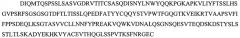 Fc-варианты с измененным связыванием с fcrn (патент 2517621)