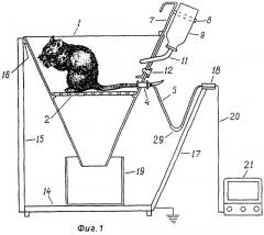 Стенд для электрофизиологических исследований на крысах (патент 2245117)