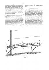 Способ формирования виноградного куста (патент 1628948)