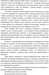 Производные малонамида в качестве ингибиторов гамма-секретазы для лечения болезни альцгеймера (патент 2402538)