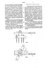 Приспособление для обработки почвы (патент 1824033)