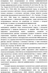 Производные имидазопиридина или имидазопиримидина в качестве ингибиторов фосфодиэстеразы 10а (патент 2502737)