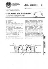 Накопительная емкость (патент 1300080)