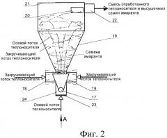 Способ безотходной переработки семян амаранта и технологическая линия для его осуществления (патент 2426773)