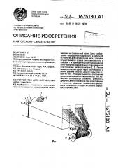Устройство для направления нити с паковки (патент 1675180)