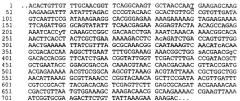 Антигены neisseria meningitidis (патент 2343159)