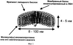 Способ ренатурации мембранных белков (патент 2500684)