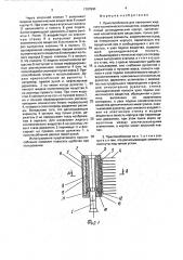 Приспособление для нанесения жидкого косметического вещества (патент 1797840)