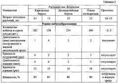 Способ получения микропобегов растений семейства betulaceae (патент 2650754)