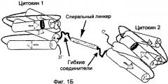 Полипептид со свойствами агониста рецептора гормона роста, кодирующая его нуклеиновая кислота, вектор для его экспрессии и продуцирующая его клетка (патент 2391353)