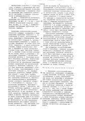 Хранилище сельскохозяйственных продуктов (патент 1310504)