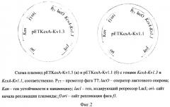 Способ качественной и количественной оценки связывания мембранного белка с лигандом (патент 2380421)