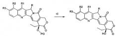 Производные камптотецина с противоопухолевой активностью (патент 2450007)