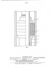 Пакер (патент 972041)