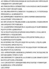 Лекарственное средство для лечения болезни альцгеймера и способ лечения болезни альцгеймера (патент 2536232)