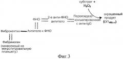 Конъюгат, связывающий фибрин/фибриноген (патент 2279890)