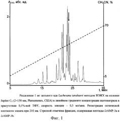 Пептиды латарцины, проявляющие антимикробную активность (патент 2302466)