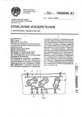 Устройство для сортировки плодов по размерам (патент 1666044)