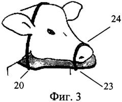 Станок для фиксации телят (патент 2284796)