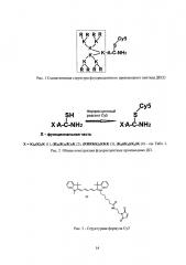 Меченые дендримерные пептиды (патент 2611399)