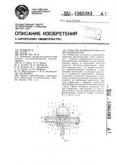 Копатель-валкоукладчик корнеклубнеплодов (патент 1565383)