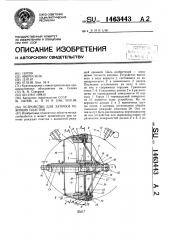 Устройство для заточки режущих пластин (патент 1463443)