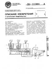 Парниковая система для выращивания растений (патент 1115681)