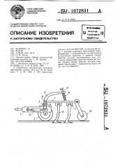 Культиватор (патент 1072831)