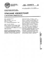 Устройство для градуировки тензорезисторов при пластических деформациях (патент 1030674)