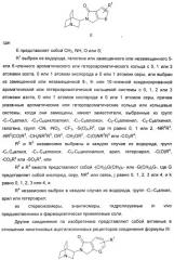 Новые производные 2-(1-аза-бицикло[2.2.2]окт-3-ил)-2,3-дигидроизоиндол-1-она/5,6-дигидро-фуро[2,3-c]пиррол-4-она в качестве лигандов к альфа 7 никотиновому ацетилхолиновому рецептору (патент 2372350)