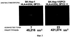 Глипикан-3 (gpc3)-производные антигенные пептиды, отторгающие опухоли, используемые для нla-a2-положительных пациентов, и фармацевтическая продукция, включающая их (патент 2395519)