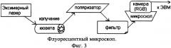 Способ дифференциальной диагностики микробов и сложных аминокислот (патент 2362145)