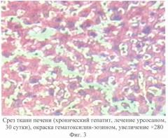 Средство "гепатобиол", обладающее гепатопротекторным действием (патент 2429869)