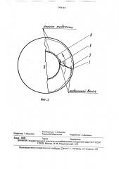 Комбинированная лопасть роторного пленочного аппарата (патент 1775124)